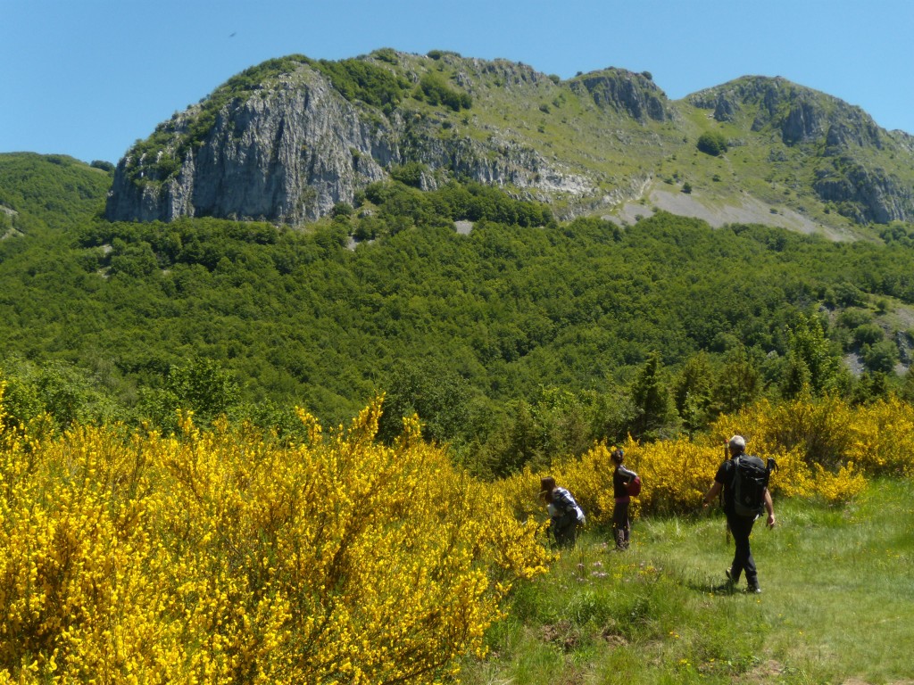 Pania di Corfino - Pania della Croce Garfagnana Travel