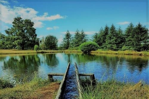 Parco naturale Orecchiella Patrimonio Unesco