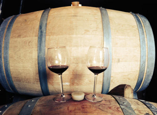 Tour in Vigna degustazione Vini Biologici, Light Lunch
