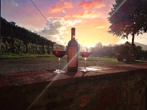 Tour, Villa e Light Dinner in Vigna al Tramonto